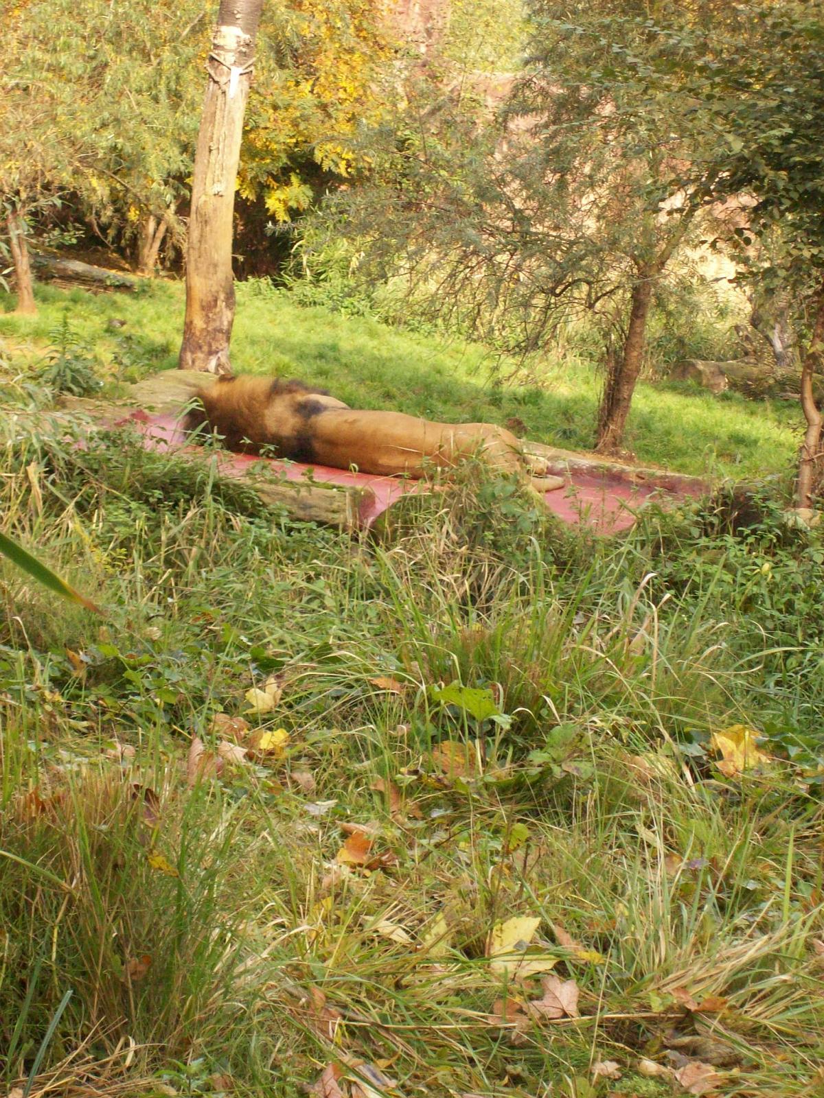 Zoom 18.10.2008-045.jpg